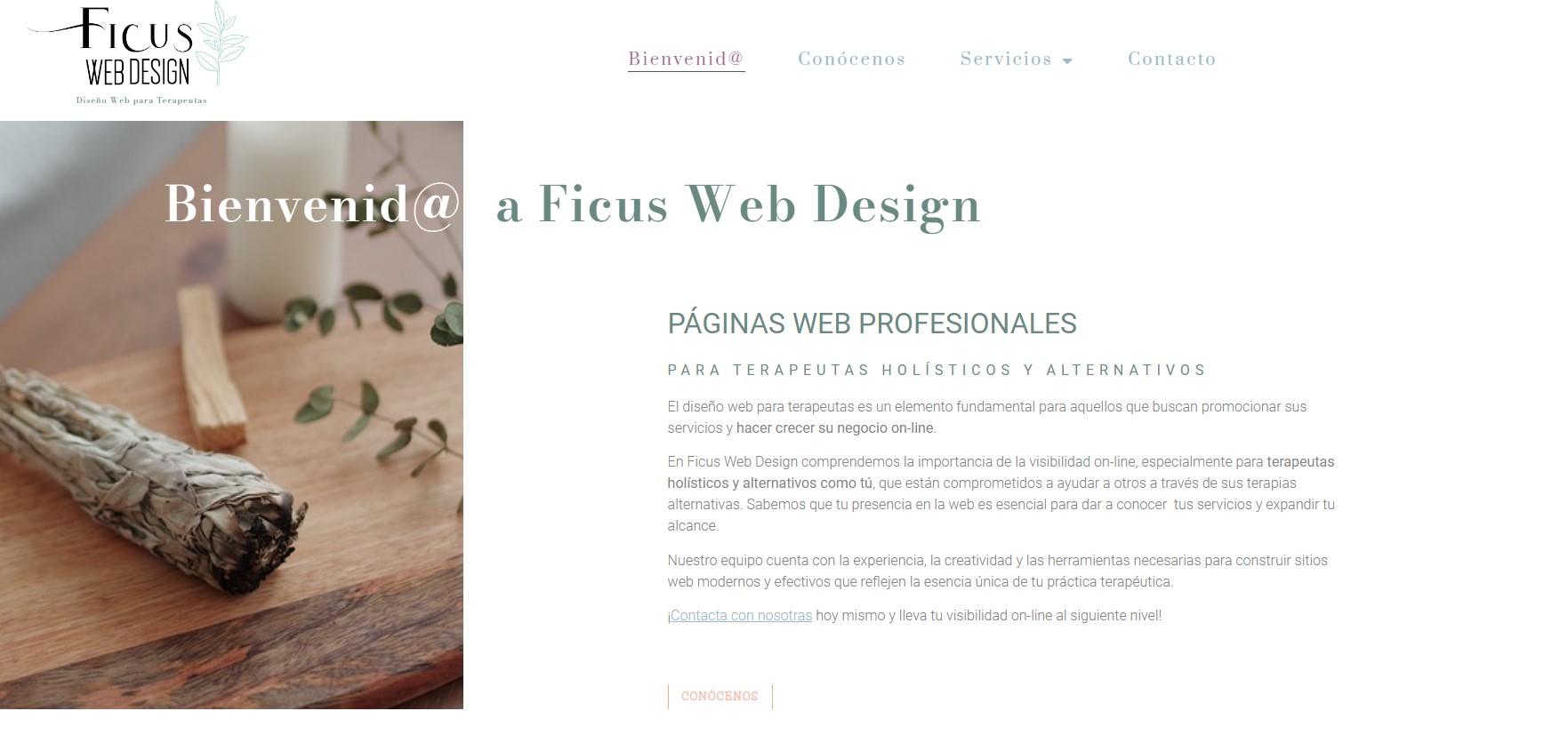 Diseño web para Terapeutas Alternativos